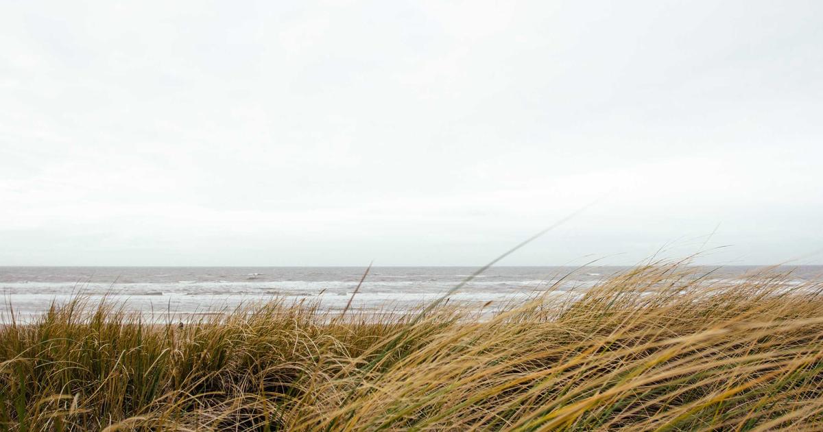 번아웃 증상 극복 방법 – 마음이 지칠 때 정서 회복 루틴 7가지